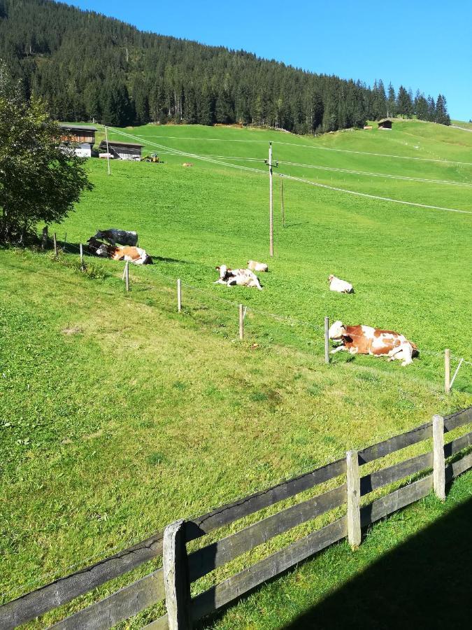 Hacklstoana Leilighet Alpbach Eksteriør bilde